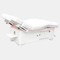 Elektryczne łóżko do masażu Spa Stolik kosmetyczny 1500W Regulowane oparcie